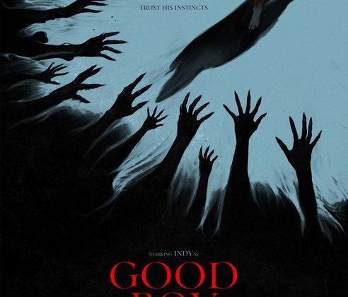 Honest Review: Is Good Boy Worth Watching?